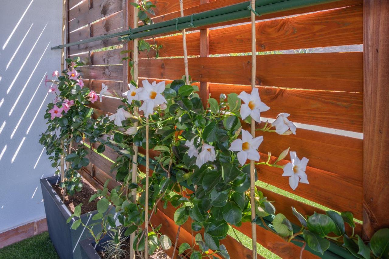 Flowers Island House 3 Канісу Екстер'єр фото